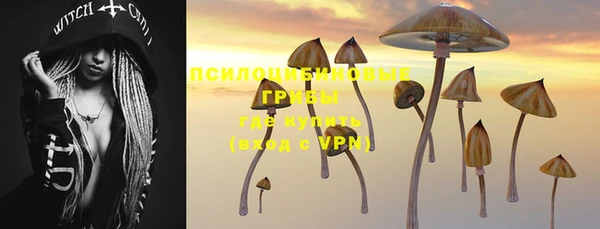 эйфоретик Балахна