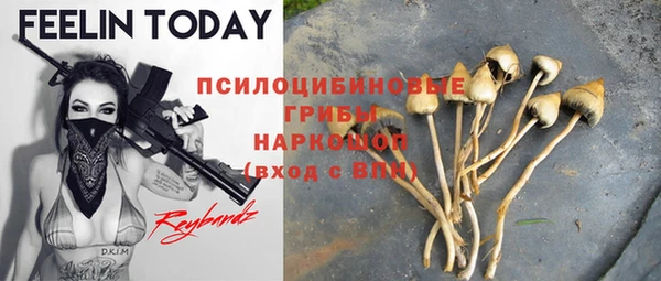 гидропоника Баксан